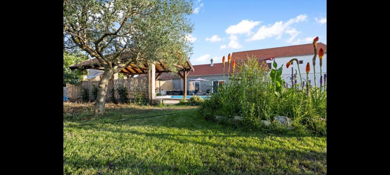 Siritovci Olive Tree House With Jacuzzi, Wifi And 40M2 Poolヴィラ エクステリア 写真