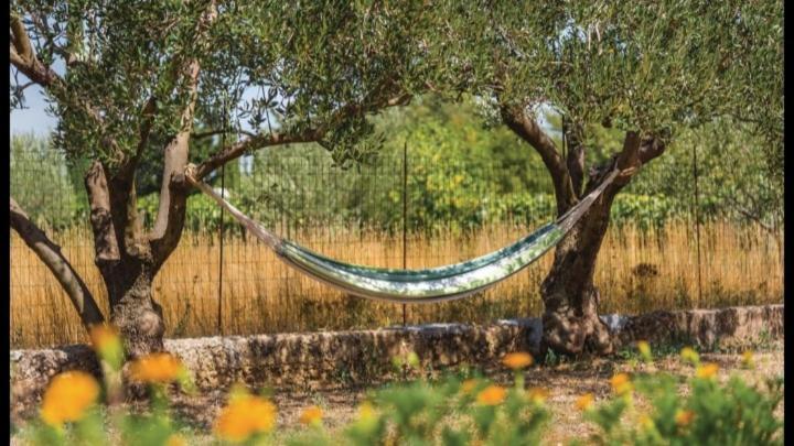 Siritovci Olive Tree House With Jacuzzi, Wifi And 40M2 Poolヴィラ エクステリア 写真